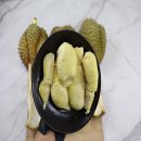 에바다 이미지