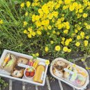 파주도시락 추천✨ 행사·단체 주문 만족했던 아름다운한끼 파주점🍱