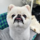 (주)로희