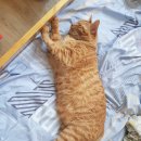 네모PC방 이미지