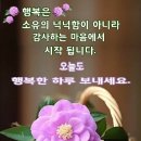 청산피엠