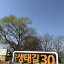 송산유원지 | 🌼 송산유원지 봄 나들이 후기 🌿