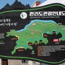 양지2 발전소 이미지