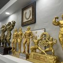 원에스짐 이미지