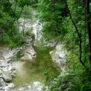 숲속의 하루 이미지