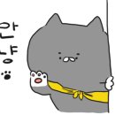 명성온누리약국 이미지