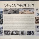 성주성산동고분군전시관 | 경북 아이와 실내 가볼만한곳 성주군 성산동 고분군 전시관