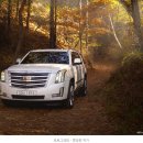 5인가족 이미지