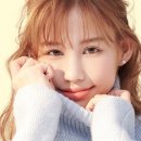 단델리온 이미지