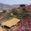 광양매화축제, 맨발 봄길 걷기 이벤트 이미지