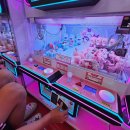 the 뽑기 이미지