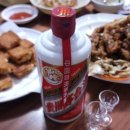 마호타 이미지