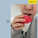 진주중앙중학교 | 누가 사랑을 아름답다 했는가