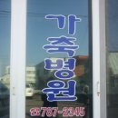표선가축병원 네이버블로그
