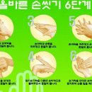 사자왕태권도 이미지