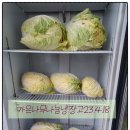 자양동 행정복지센터 이미지