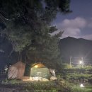 열매랑 뿌리랑 약초산나물 뷔페 | 산청 여행 코스 | 대포숲&amp;열매랑 뿌리랑 약초산나물뷔페 후기