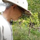 정호진농장 이미지