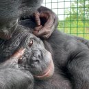 Fly PC Zone 이미지