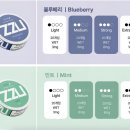 쭈군 | [쭈 ZZU]니코틴 파우치 금연 보조제 냄새없는 잇몸 담배 사용 후기