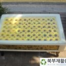 북부 재활용 센터 이미지