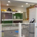 잘해줄개 이미지