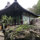 물한계곡 소나무펜션 이미지