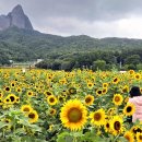 김영근 농장 이미지