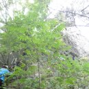 화산마을회관 이미지