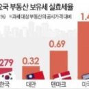 부동산거품에 대한 대책을 제시한다. 이미지