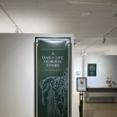[부산 전시] 홍티예술촌 청년작가 발굴 기획전 / 서채하 《A DAILY LIFE GENERAL STORE》