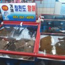 칠천도활어 이미지