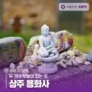 상주 증촌리 석조여래좌상 | 두 개의 보물이 있는 곳, 상주 용화사