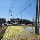 갈산2통 마을회관 이미지