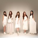 비피팝 카카오 검색결과