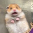 보건소3층 | [결혼준비💍] 임신 전 신혼부부 산전검사 직접 해본 후기 (보건소, 산부인과)