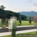 커피리퍼블릭 | 춘천 대형카페 추천, 잔디정원과 산뷰가 예쁜 리퍼블릭 데이트코스 후기