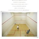 대한스포렉스 이미지