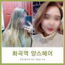 양스헤어 - 강서구 | [화곡/화곡역]컷트 잘하는 미용실 양스헤어 후기/가격