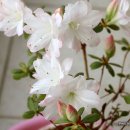 (주)꽃씨