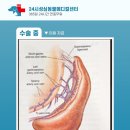 성심동물의료센터 이미지