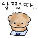 명륜진사갈비구월