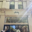 블루마운틴호텔 | 호주 시드니 4박5일 신혼여행 후기|내돈내산 블루마운틴투어 후기,스투시,카페 추천