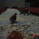 영진신용시스템 | 부산 남포동 옥상 방수, 하자부터 잡는 팀의 진짜 후기 :: 영진종합방수