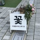 마곡역 꽃집, 집들이 꽃다발 화분 선물, 미쉘플라워스튜디오