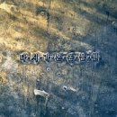 케미컬레코드