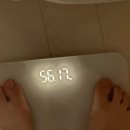 소울핏 | 장안동 PT 소울핏 8회차 후기｜팔 운동 클리어! 눈바디가 달라진 게 느껴지는 요즘 💪