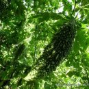 하이농장 이미지