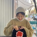 서커스빈 이미지