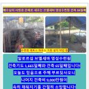 (주)브엘세바